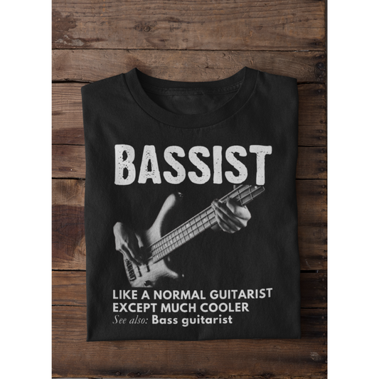 Bassist - Bass Guitarist